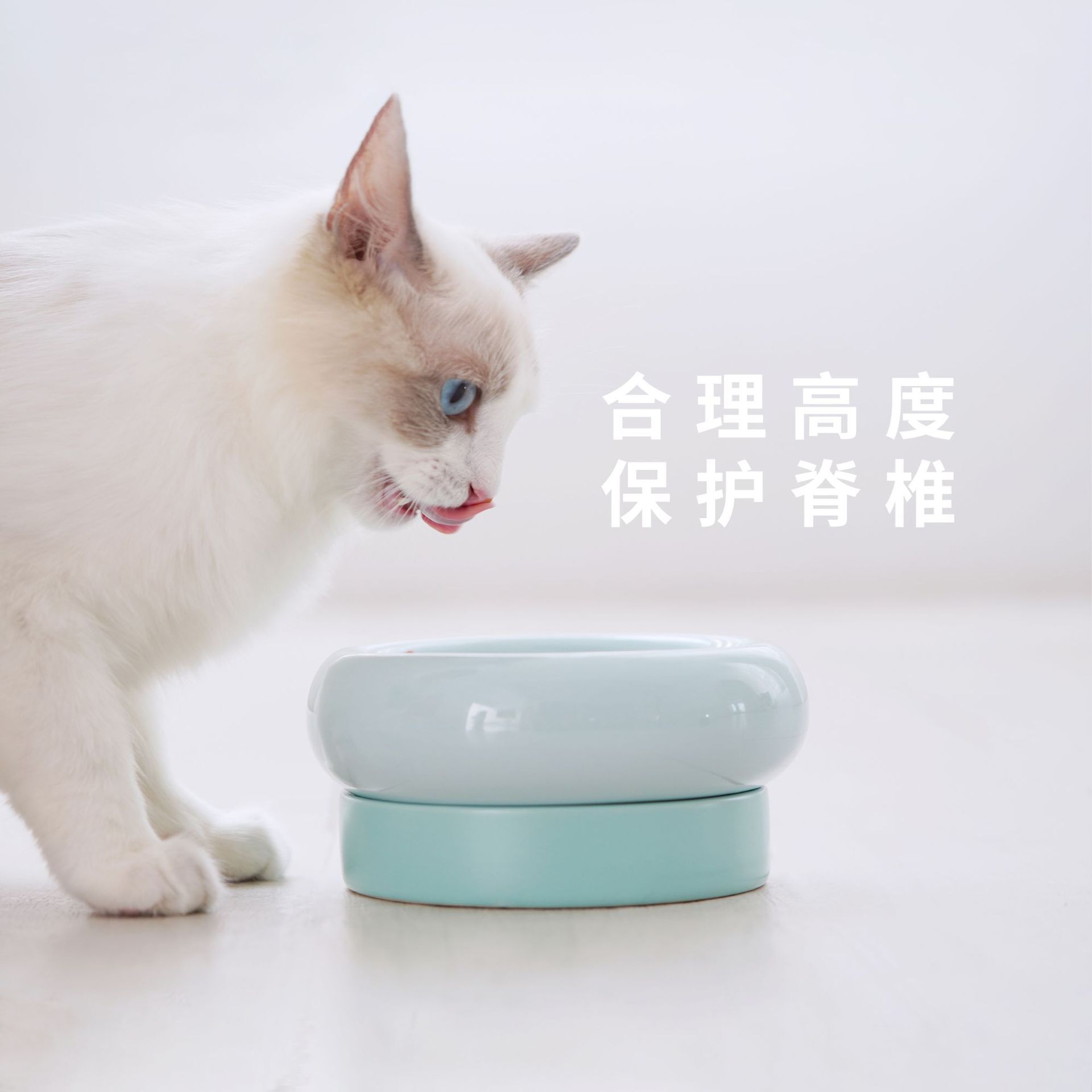 makesure麻薯贪吃猫碗陶瓷双碗宠物用品小狗猫食盆猫粮碗猫咪用品