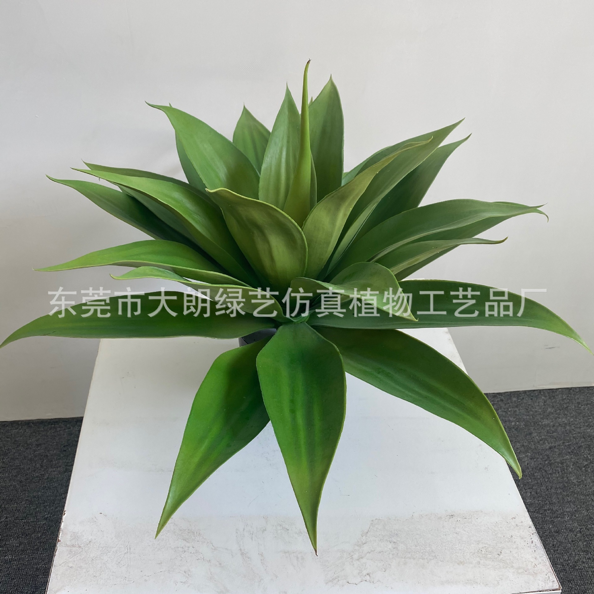 仿真植物龙舌兰盆景黄冠兰假树剑麻室内外摆件热带植物仿真盆栽