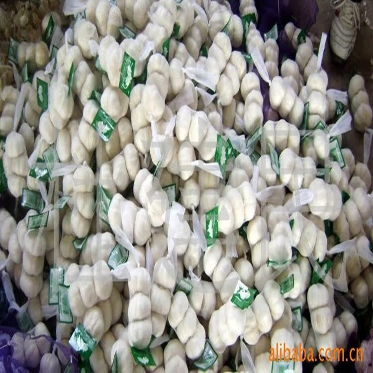 金乡大蒜源头工厂出租冷库、批发 白皮蒜 、红蒜，大量批发蒜头