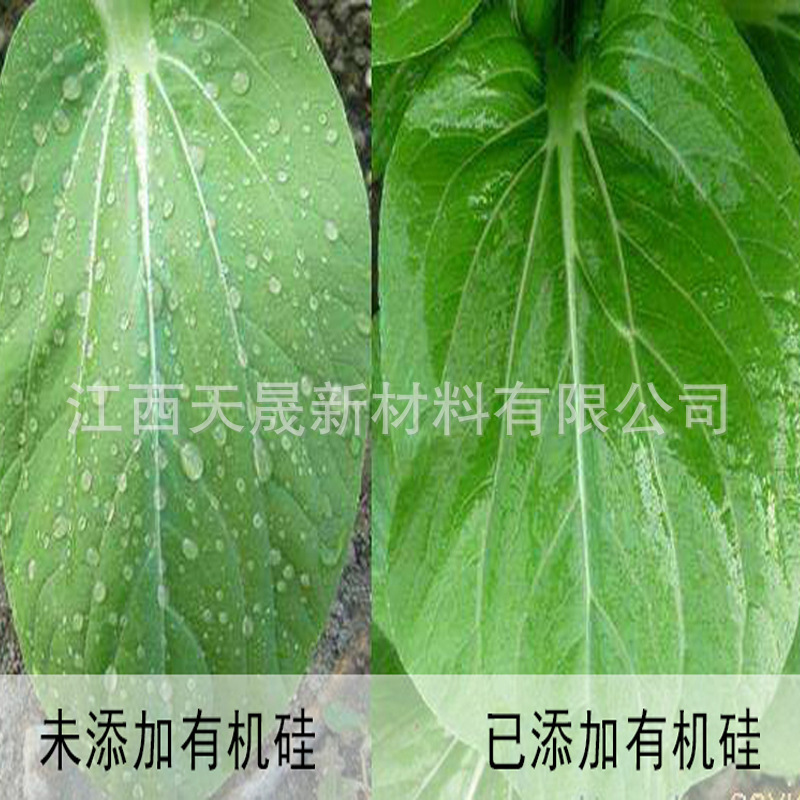 Hương cam, bột hữu cơ, lá, bột phấn.