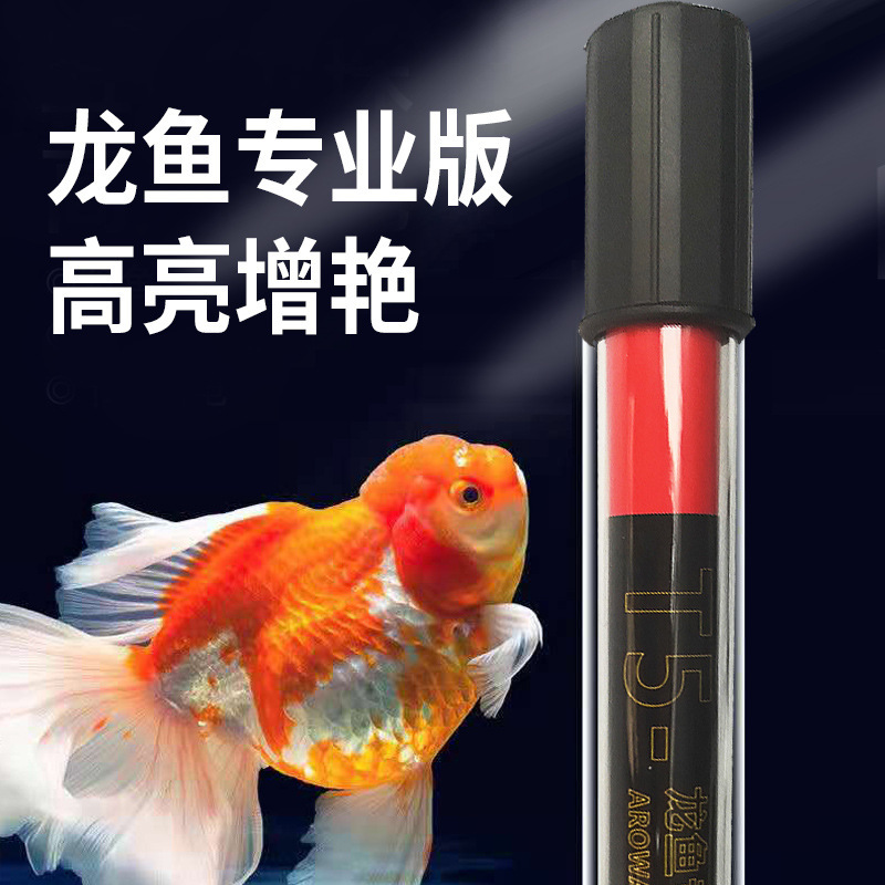 Đèn cá rồng được dùng để tăng thêm đèn lặn màu sắc.
