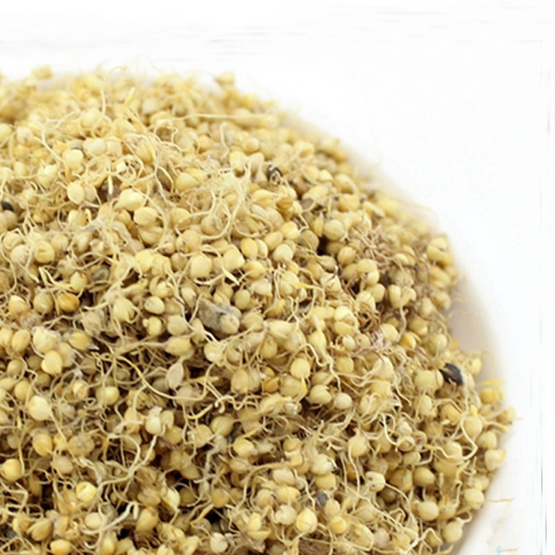 Một chồi, một chồi, một chồi, một chồi, 500 gram, một sản phẩm chính.