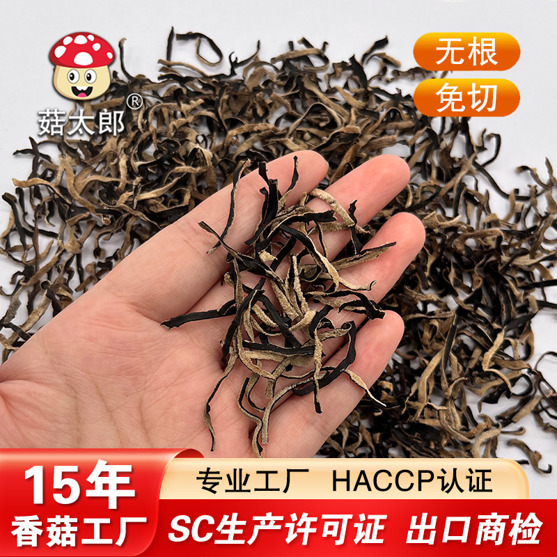 Nhà máy gốc đã cắt một sợi lông mà không có rễ.