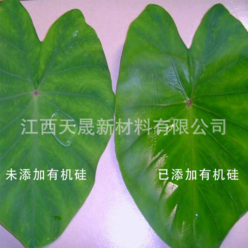 Nhân viên vệ sinh nông nghiệp tưới nước nhanh có thể trợ giúp đặc vụ phun thuốc trừ sâu.