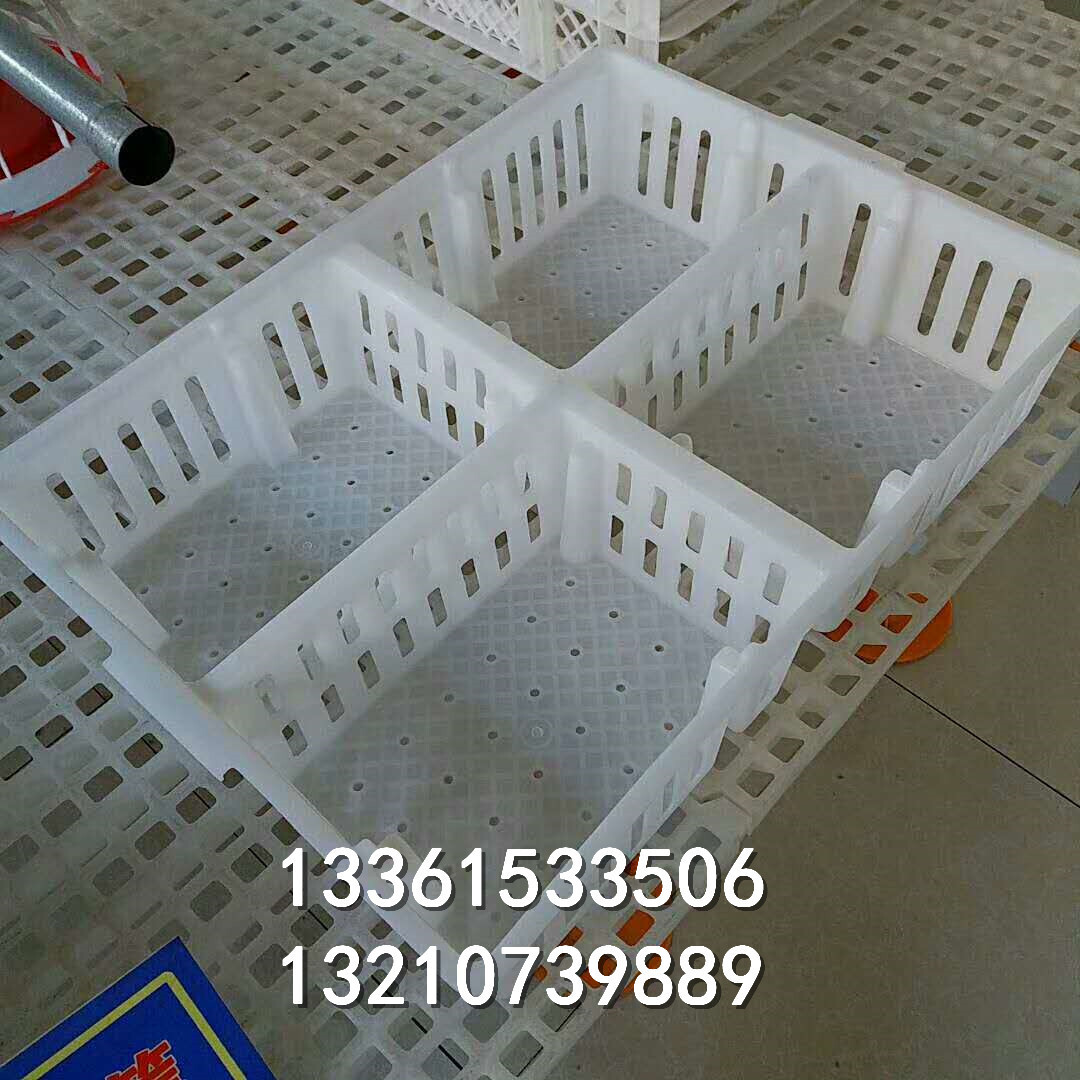 Multi-specified transport vans, chicken basket factory, square multi-coloured duck baskets.