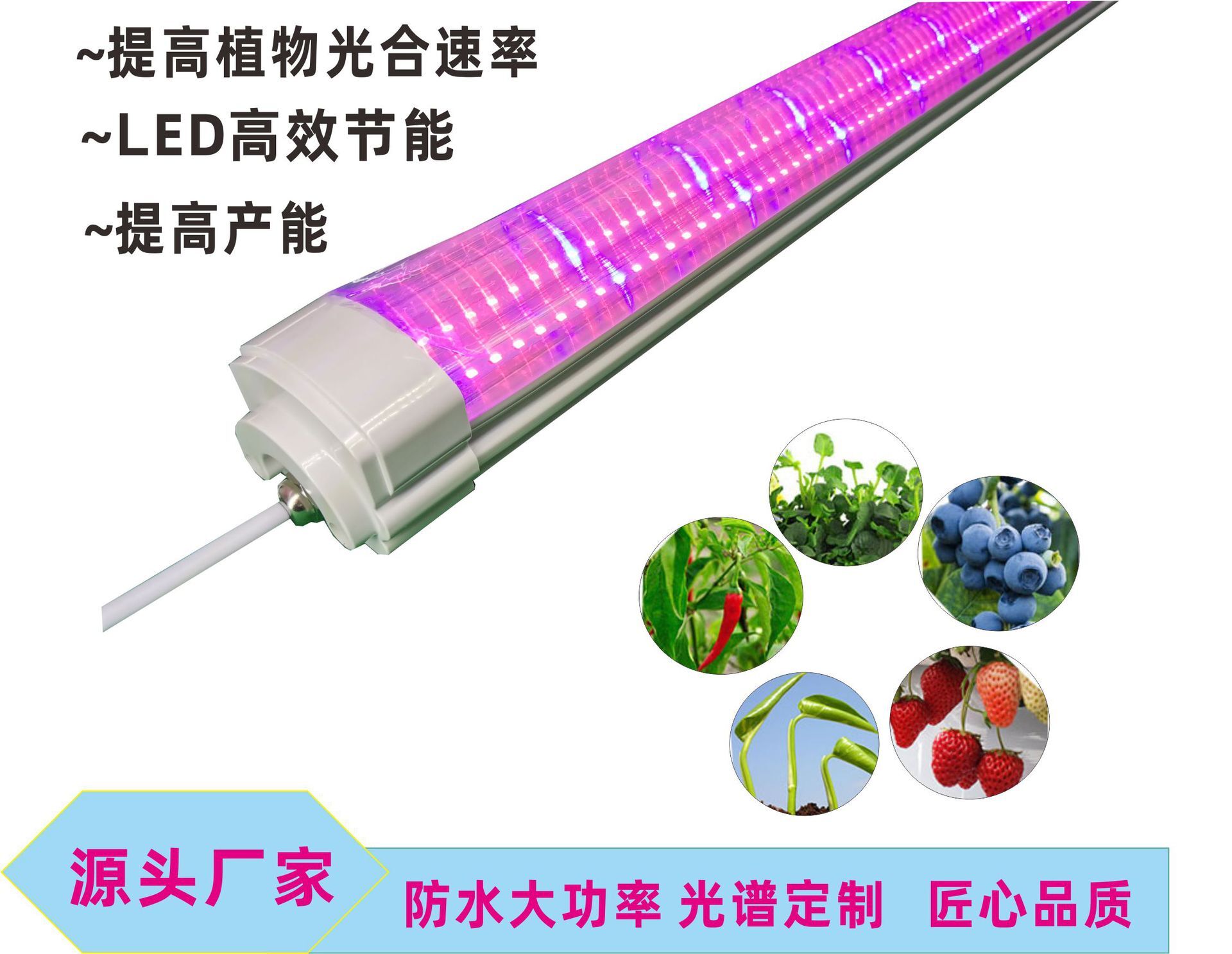 Plant wholesale led plant growth lamp tri-vegetated plant lamp red, blue full spectral led patch