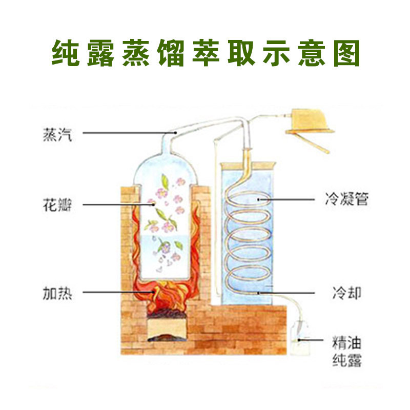 万花礼物澳大利亚茶树纯露500ML控油抑痘淡印清洁毛孔花水爽肤水