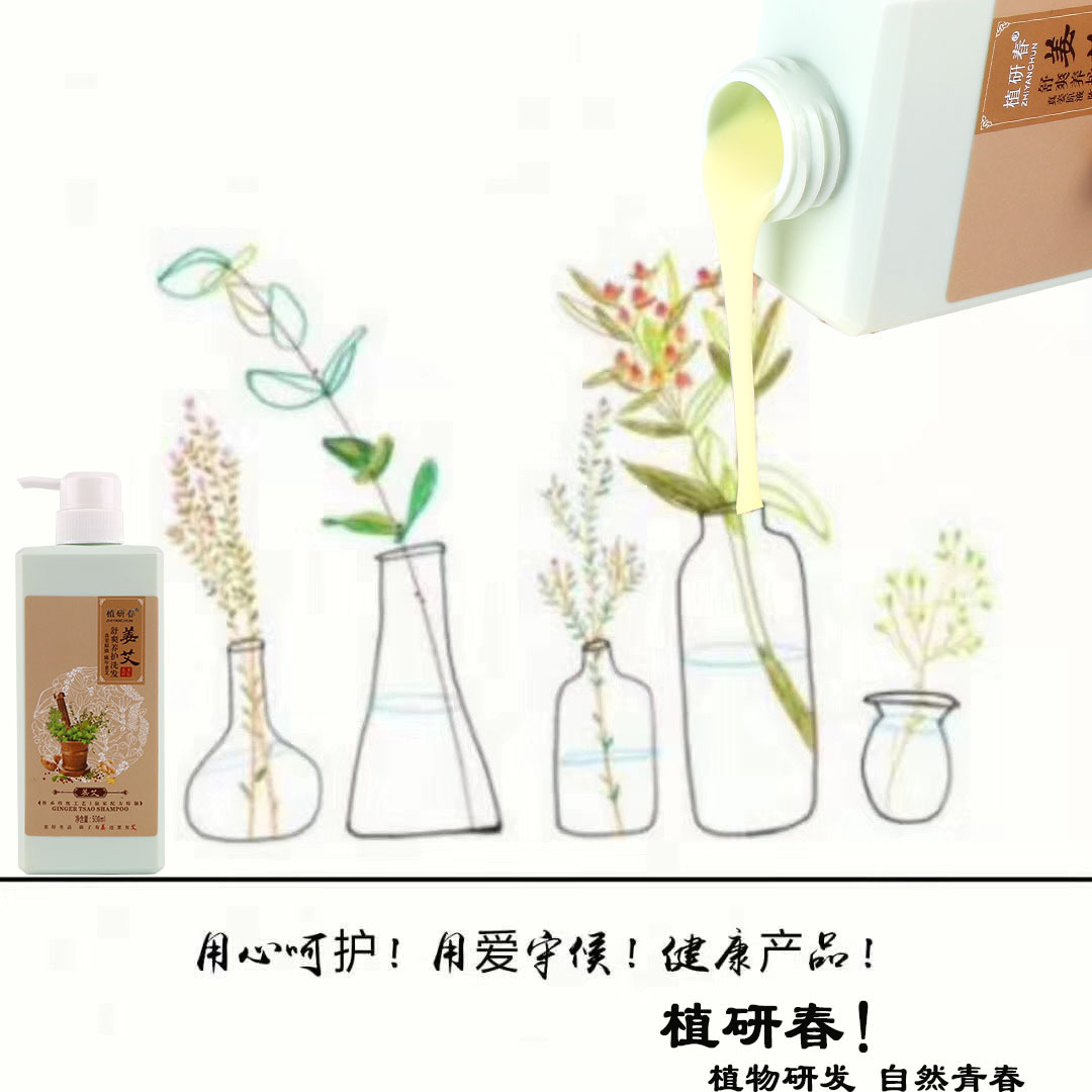 植研春姜艾舒爽养护洗发乳防脱育发祛屑柔顺平衡油脂养头皮