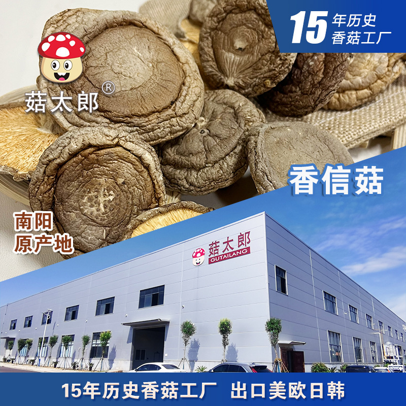 Nhà máy gốc là Henan xuất khẩu nấm khô và nấm ăn được cho Liên minh Châu Âu.