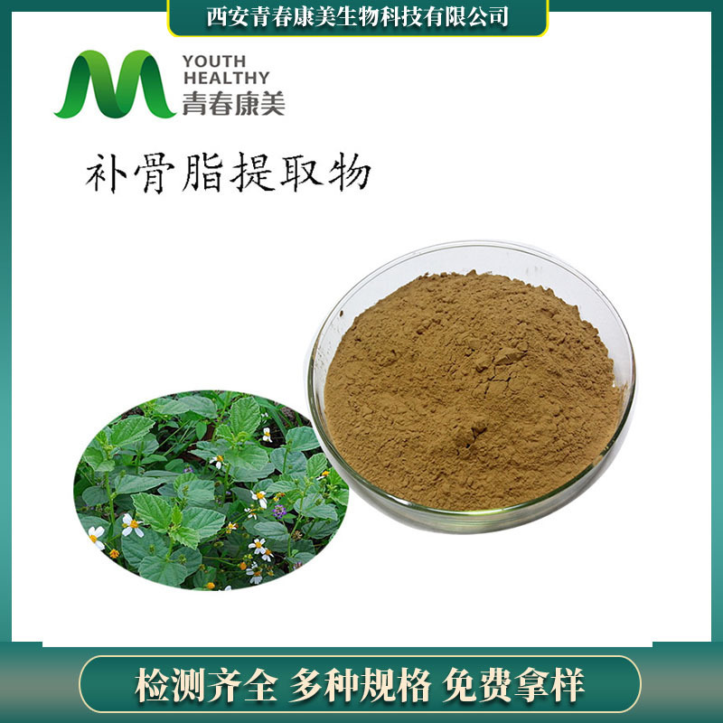 sc工厂补骨脂提取物10：1 补骨脂皂甙 水溶性补骨脂浸膏粉原料批