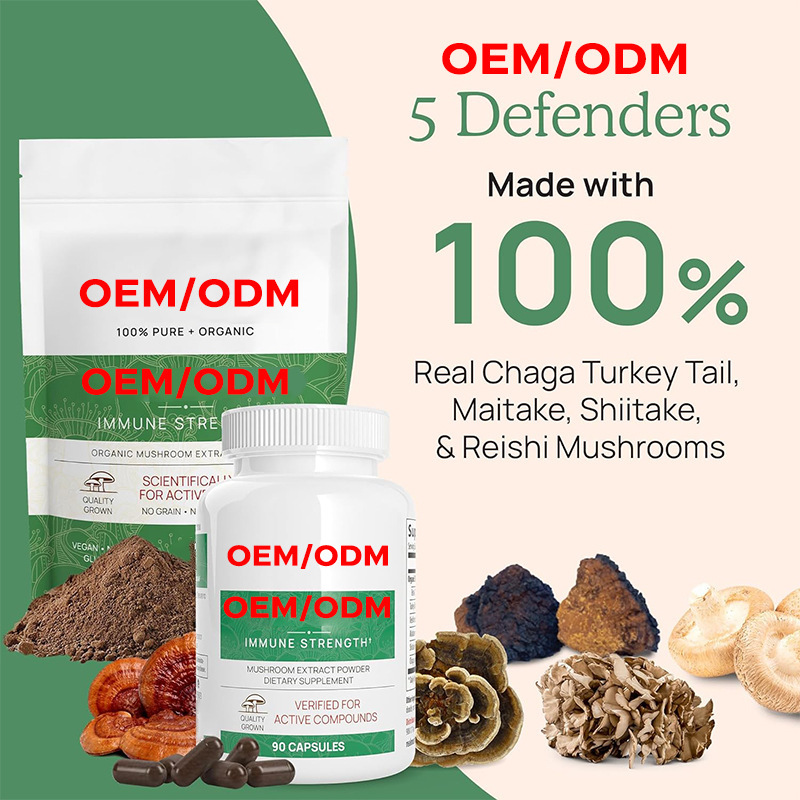 Cung cấp các khoang nấm, Chaga, nấm Shitake, Maitake, hàng hóa.