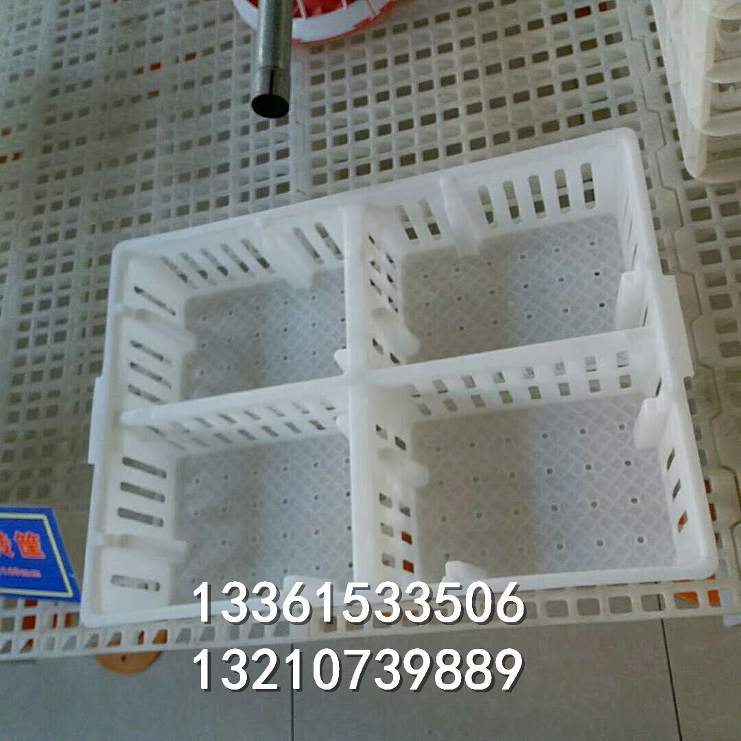 Multi-specified transport vans, chicken basket factory, square multi-coloured duck baskets.