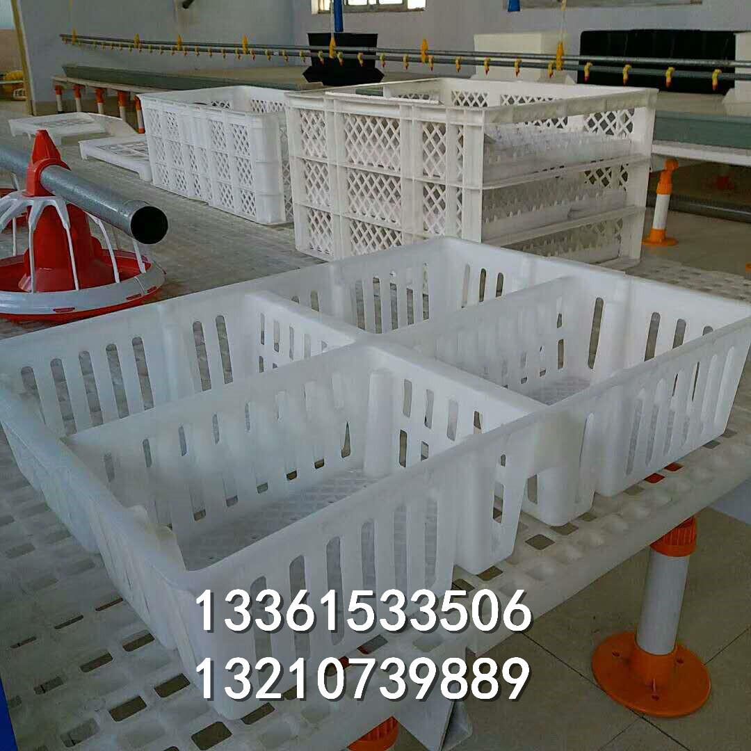 Multi-specified transport vans, chicken basket factory, square multi-coloured duck baskets.