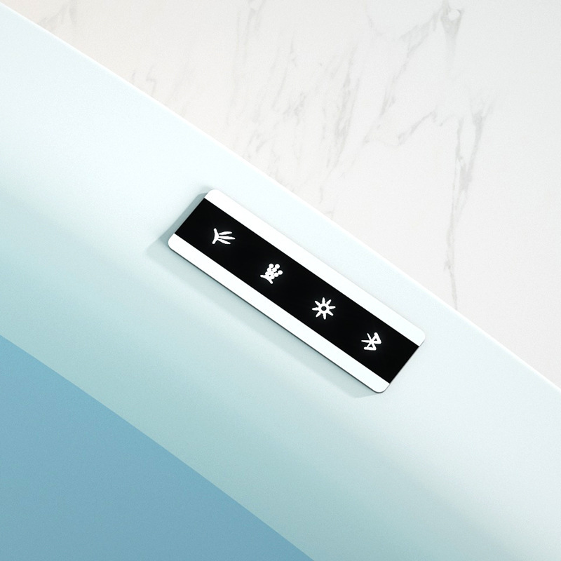 The Jacuzzi controller, the bluetooth panel for the clean-up, the touch tub controller.