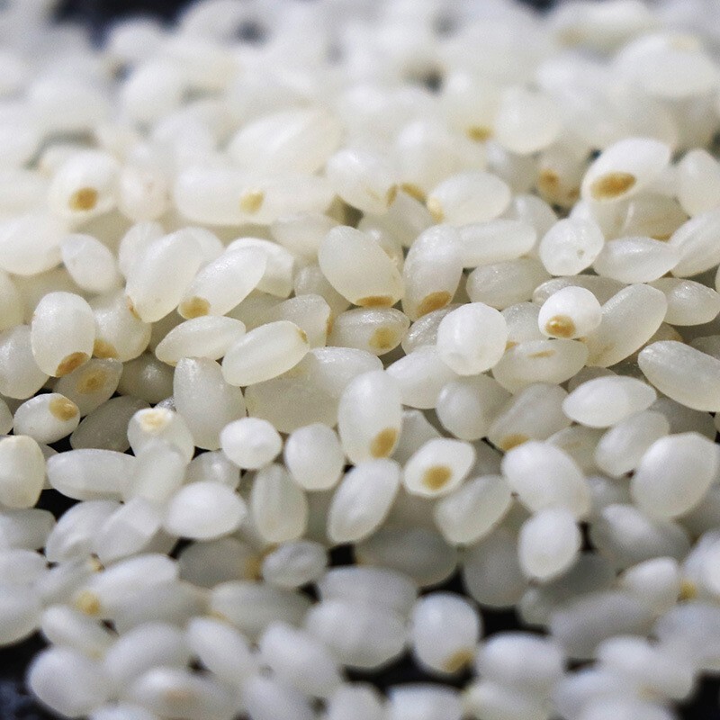 Plum porridge, small packaged grains, branded new rice seed rice.
