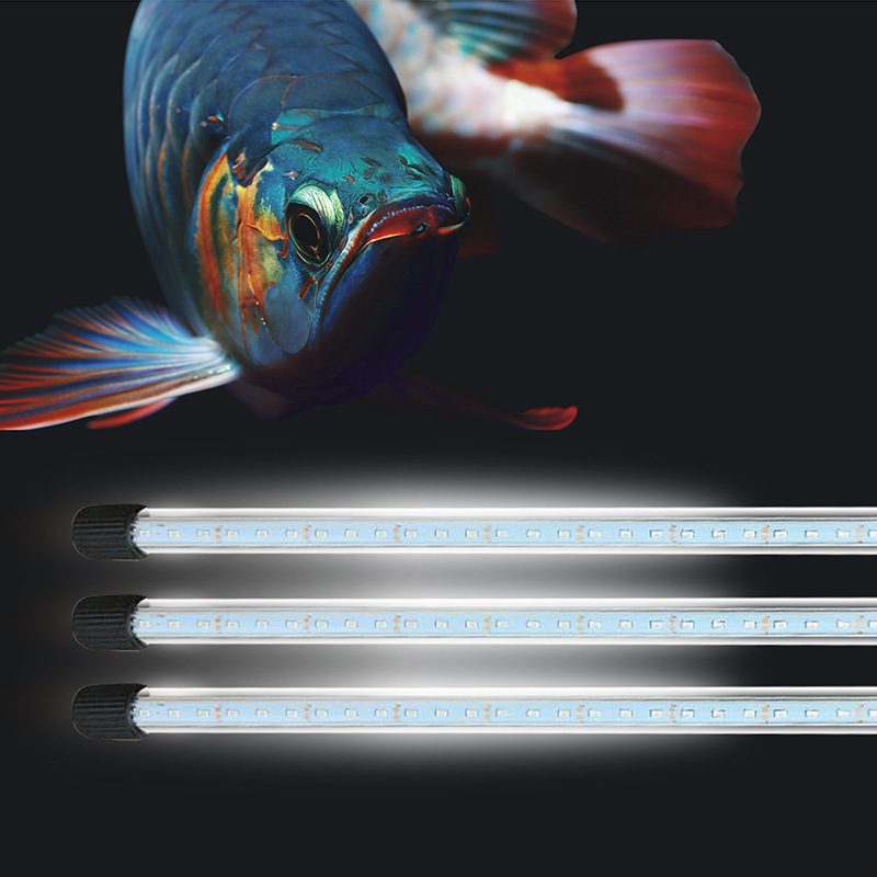 龙鱼灯 水陆两用鱼缸照明灯 七彩红鹦鹉鱼红龙鱼水族灯LED鱼缸灯