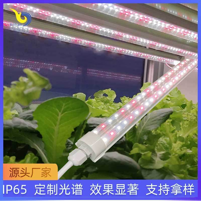 LED Plant Lamp T8 Waterproof Plant Growth Lamp, full spectrum red blue, waterproof IP65 re-light