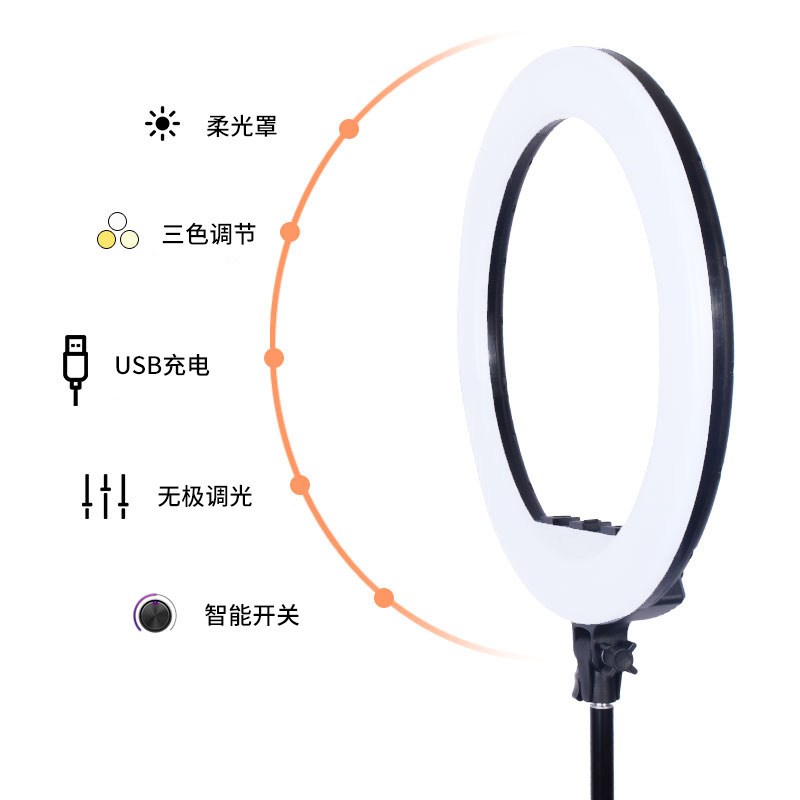 Một bản sao trực tiếp của nhà máy ánh sáng ở vòng 18 inch 45CM.