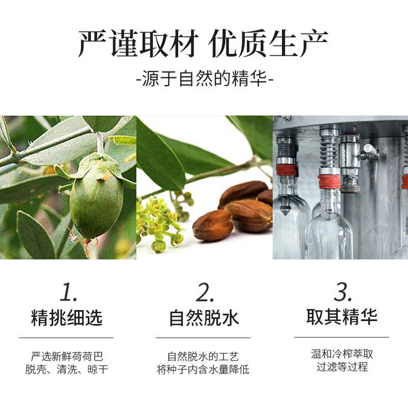 生薑精油OEM足療養生開背通經絡身體按摩油單方植物精油定製加工