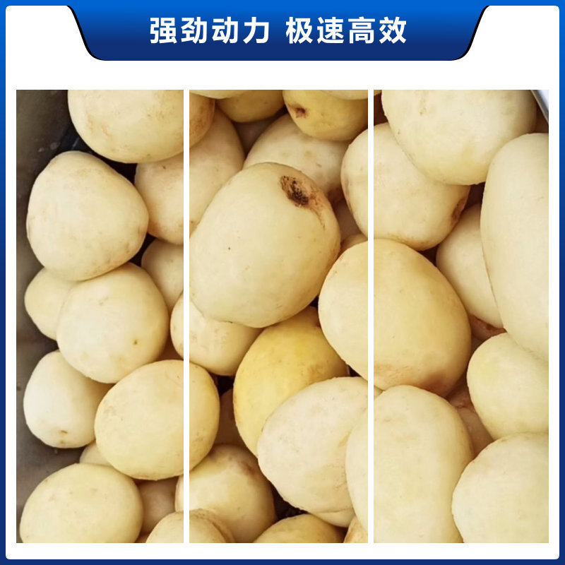 ASAKI commercial potato to wholesale full-automatic potato peeling at a leather stainless steel washing machine