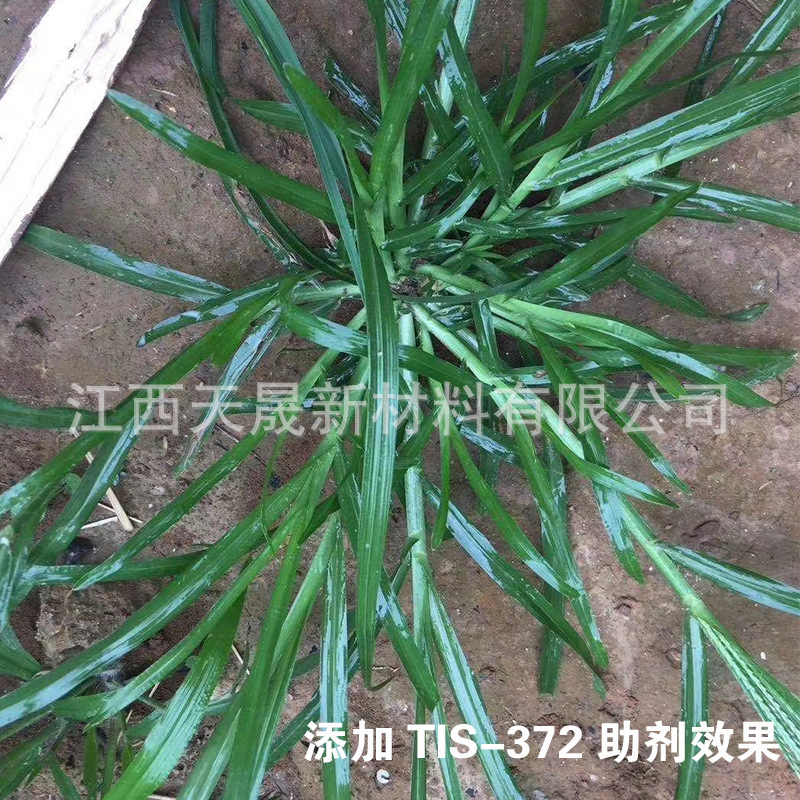 Hoạt động của nền văn hóa nông nghiệp không phải là hoạt động nhân bản của các màng cứng tiểu đường kéo dài phạm vi alkaline PH