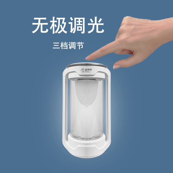 Hand-held 점화는 식물에서 자유로운 sandglass LED 점화의 제 3 세트에 의해 통제됩니다