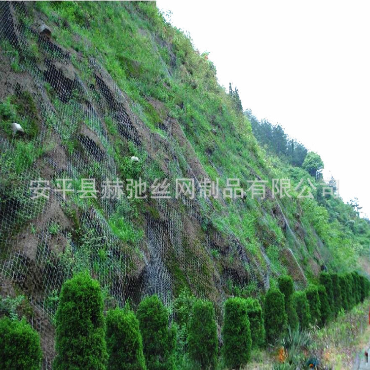 The greening of the hill slopes and the spreading of the grass fence by the greening of the maggot.