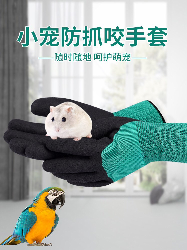 防咬手套倉鼠加厚專用兒童安全防護動物喂鸚鵡防貓兔子金絲熊貓咪