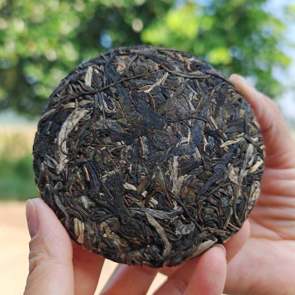 Nhà máy bán 100 gram trà cho cây Quilin.