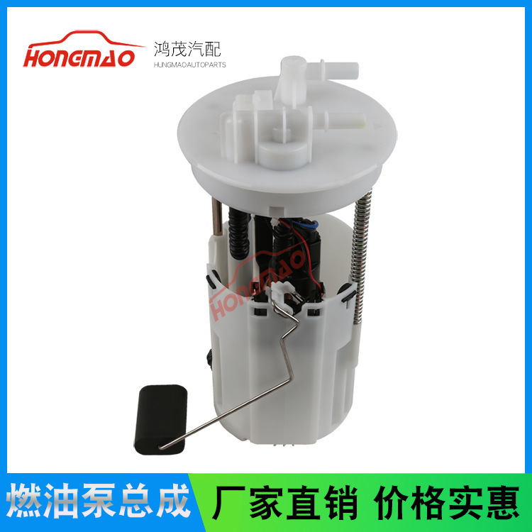 Electronic fuel pump of Hongmao company