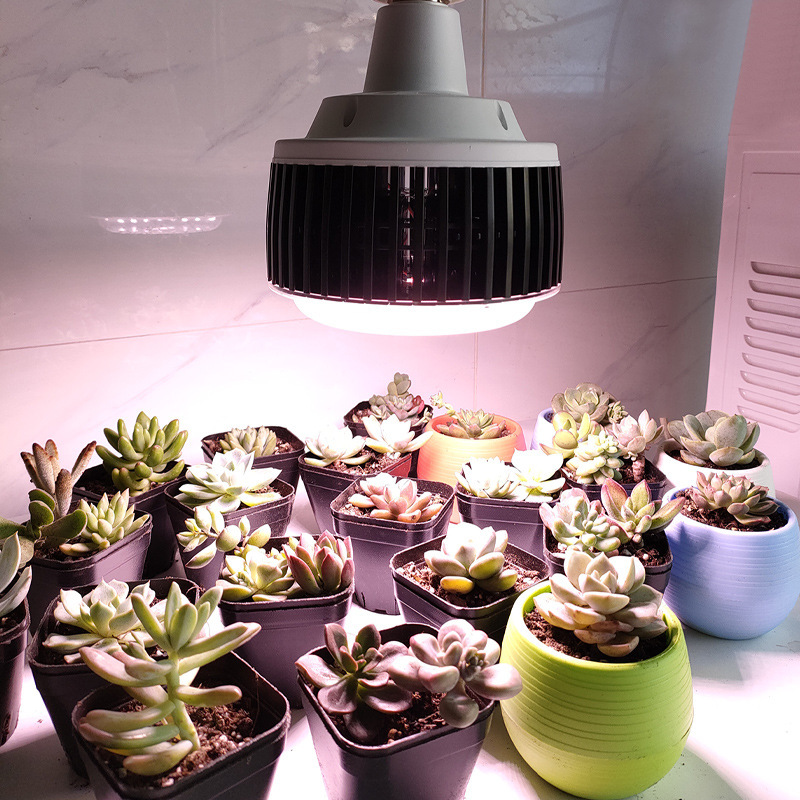 Leed-flip plant lamps, growth lights, meat patches, flower basins to plant plants with high power light.