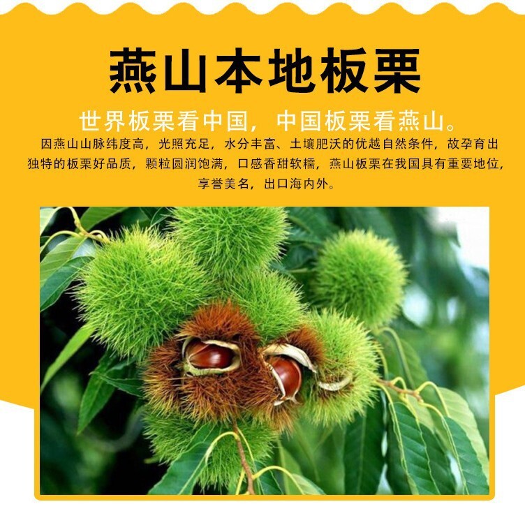 To comply with Yanshan's opening smile, and to export frozen chilled chestnuts, 10 kilos of cardboard boxes are frozen all year round.