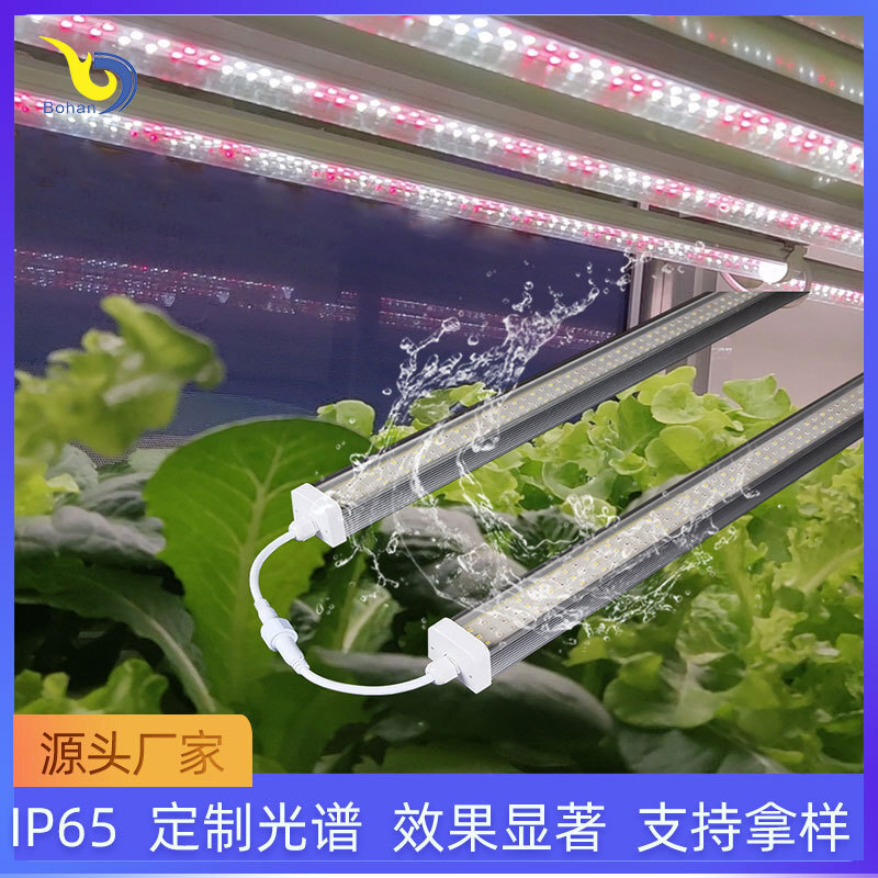 New, big-power plant-growing lanterns and vegetative vegetables, three rows of plant light IP65 grow light