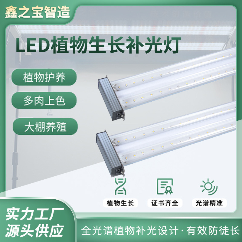 The Zhubuki-sensei makes a full-spectrum imitation of plant growth lamps in the solar chamber.