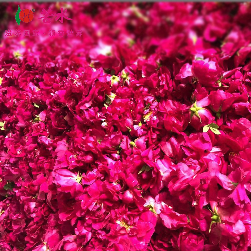 The rose crown of 3kg medicine is the same source of the natural velvet rose that produces tea and rose and herb tea.