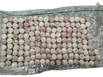 出口俄罗斯精品大蒜、高标大蒜、纸箱，网袋包装蒜头