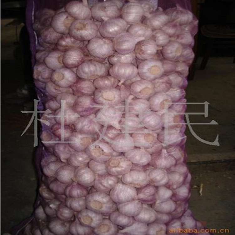 金乡大蒜源头工厂出租冷库、批发 白皮蒜 、红蒜，大量批发蒜头