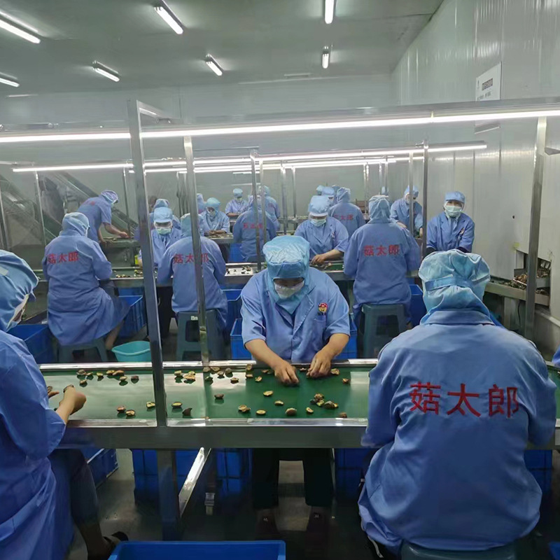 Nhà máy gốc là Henan xuất khẩu nấm khô và nấm ăn được cho Liên minh Châu Âu.