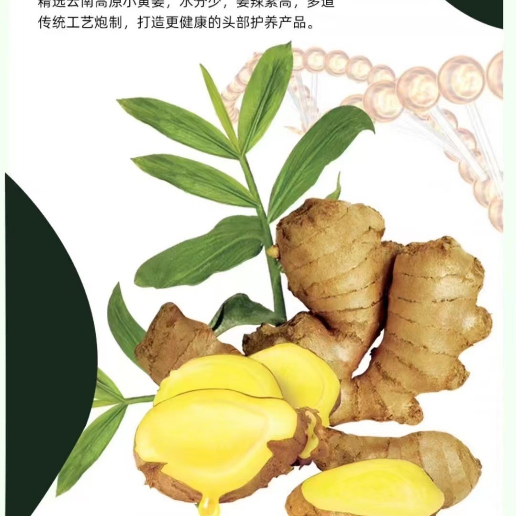 植研仕姜汁赋活水疗素平衡素还原酸护发素修复干枯 厂价量大从优