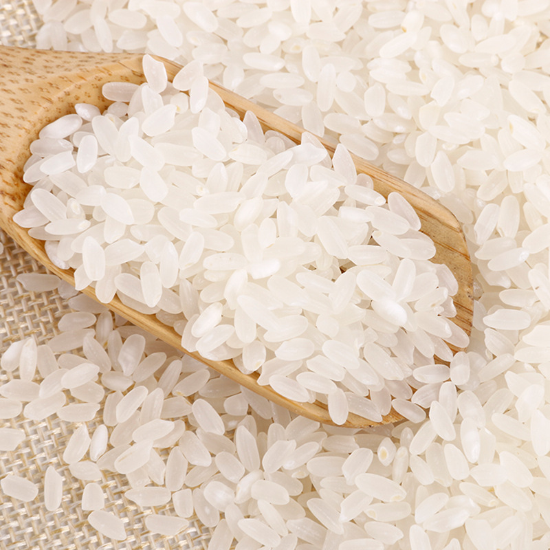 It's got pro-poor codes, 2-kilograms of luminous bricks, and a vacuum pack of luminous rice.