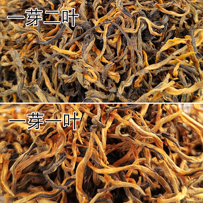Trà đỏ của Yunnan, rám nắng rám nắng, những chồi vàng, những thỏi vàng, 500g và sự phân phối hàng loạt từ nhà máy trà và trà đỏ.