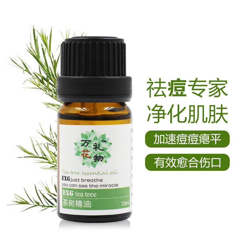 茶树精油10ml 单方精油 收缩毛孔 澳洲茶树油 配合薰衣草战痘搭档