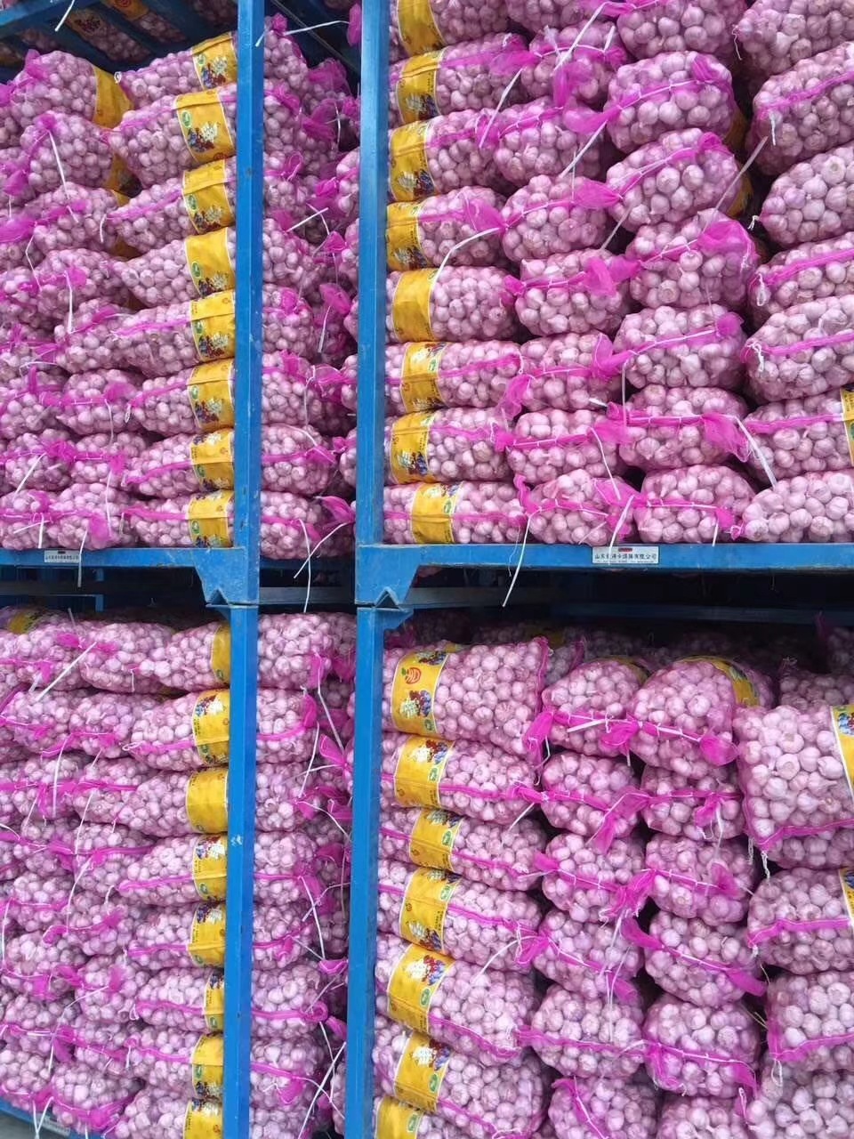 大量供应山东大蒜，干蒜，鲜蒜、市场蒜。蒜米料，出口大蒜