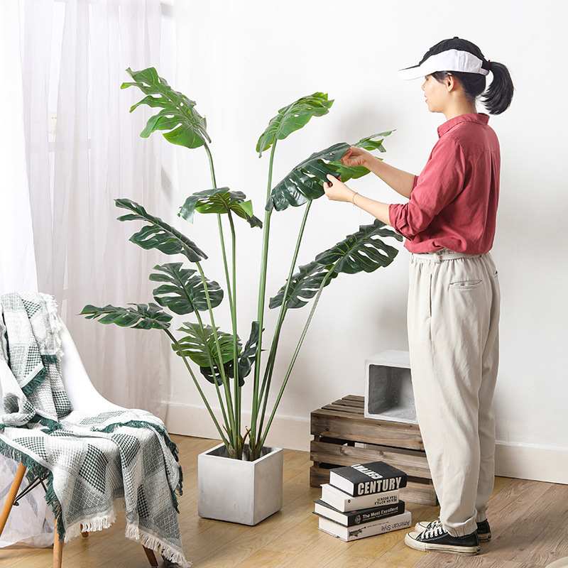 Những bản sao của loài rùa được tìm thấy trong phòng khách của nhà máy phong cảnh xanh lá cây lớn.