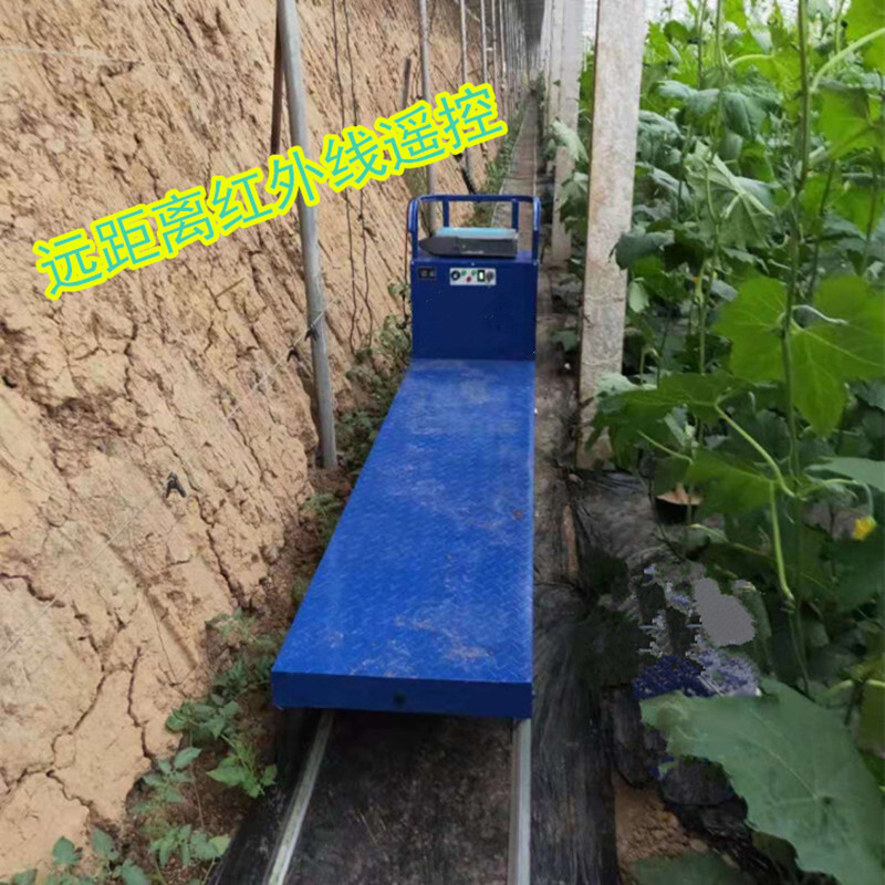 온실 통제되는 2 궤도 수송 식물에 전기 배럴 농장 수송