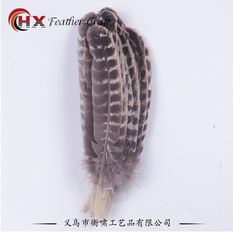 20-30 centimeters of natural striped turkey feathers, DIY decorations, turkey hair.