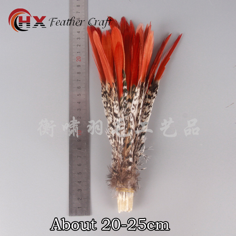 The factory sells natural pheasant hair, copper chicken red arrow feathers, 20-25 cm, wild bird feathers, chicken hairs.