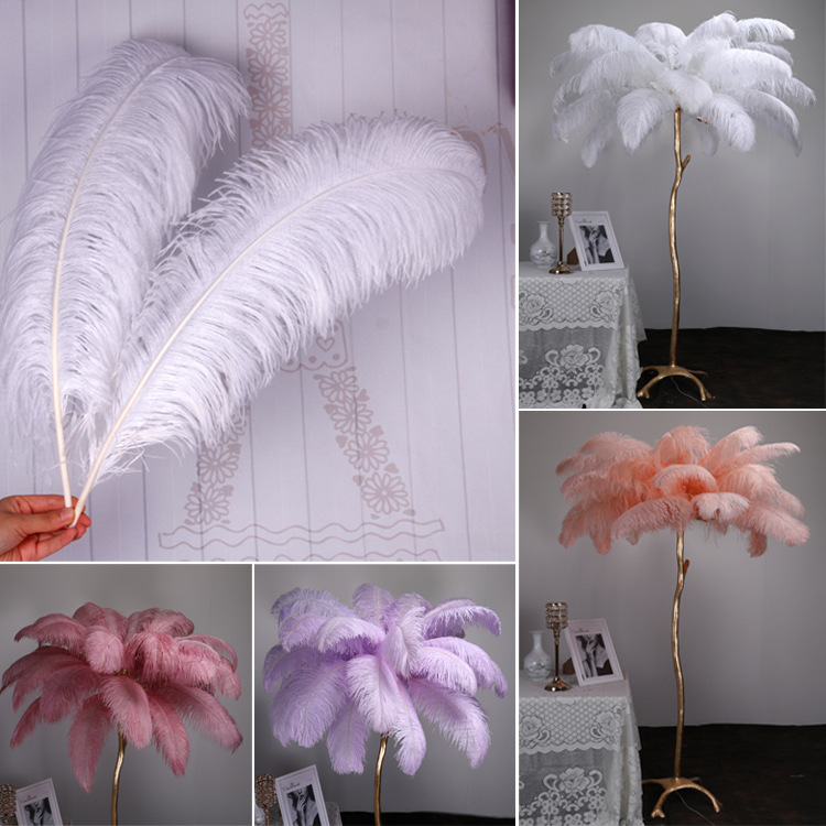 The manufacturer's white-coloured ostrich hair 15-80cm stage large feather decorated with wedding feathers.