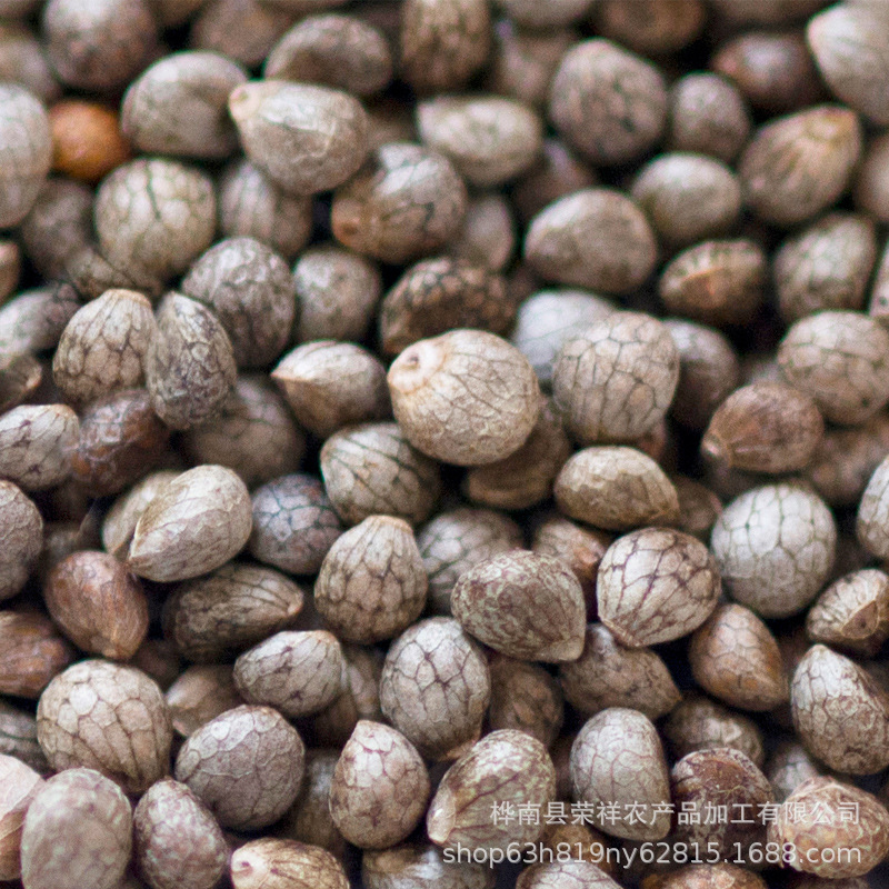 Whole grain of wild sesame decorated, sour rice, barbecued chord soup.