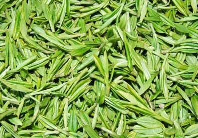 供應優質綠茶提取液 廠家直銷 質量保證